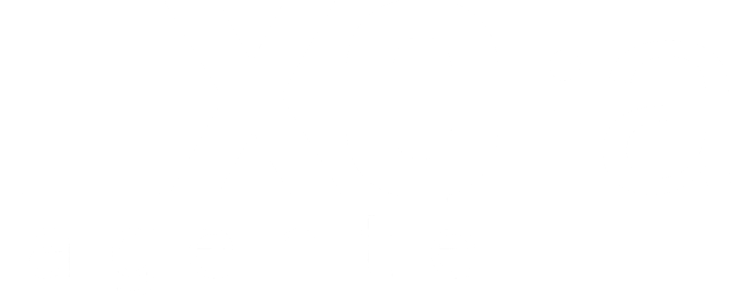 LXQ AGENTE IA EMPRESAS